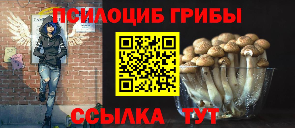 наркотики  Вход с VPN  Нефтекумск  Галлюциногенные грибы Magic Shrooms 